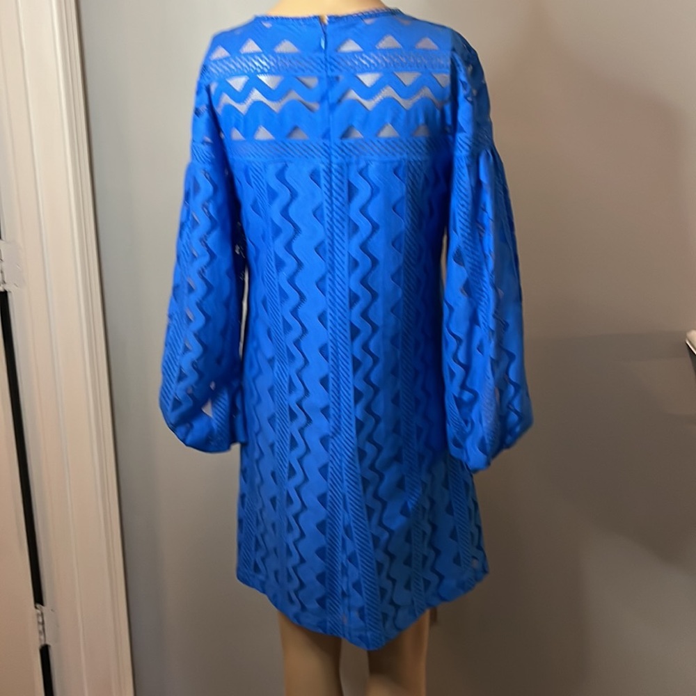 Patterned Balloon Sleeve Dress - Picture 4 of 4